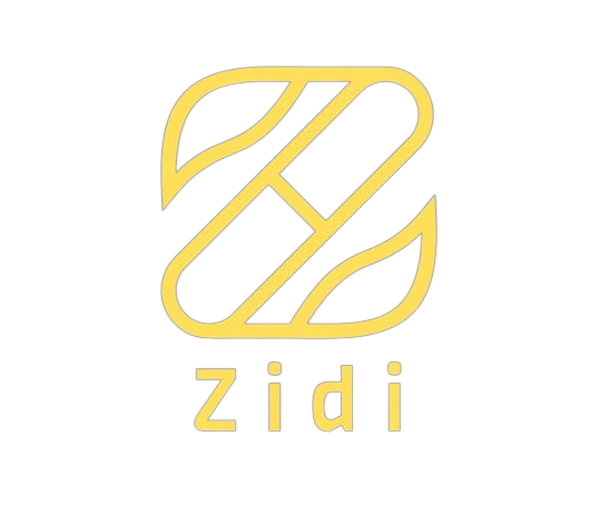 Zidi logo